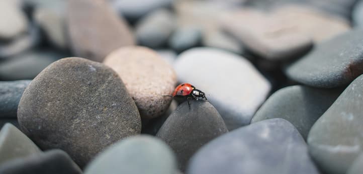 Decentralised Agentic Architectures & Data : Defining NANDini