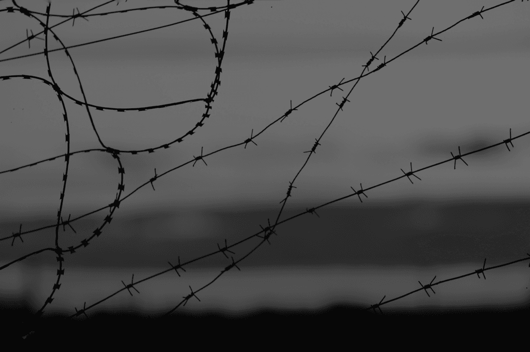 Data Fighting Laundering